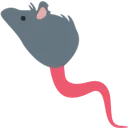 rat_tadpole rat_tadpole