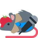 rat_comedian_boo