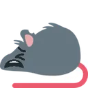 rat_nut