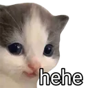 CatHehe