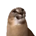 FloppaJAM