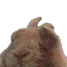 BunnyVibe