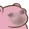 Slowpokesadcat Slowpokesadcat