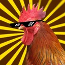 CoolChick CoolChick