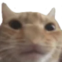 cc1smellnoevil