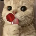 lollycat Discord Emoji