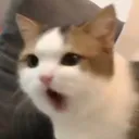 gasp