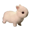 airpod_dance