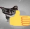 ThumbsupCat
