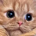 MimiUguuEyes33