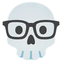 nerdskull