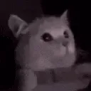 FLASHBANG