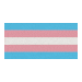TransFlag Discord emoji