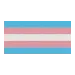 TransFlag