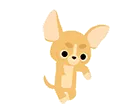 Chihuahua_Tapdance
