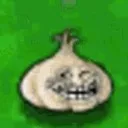 trollgarlic trollgarlic