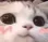 cat_blushy