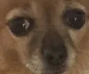 despair despair
