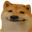 dogesmile