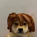 RobloxGamingPolska Discord Emoji