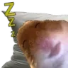D_Bjedort