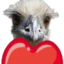 EmuHeart2