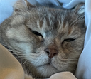 elle Discord emoji
