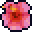 hibiscus Discord emoji