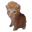 oioioi oioioi