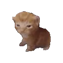 oitospin