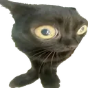 punt