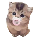 bwah