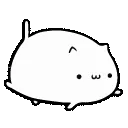 cat_swim