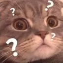 catwhat