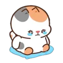 HX_huchuc