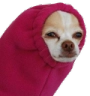 Kabanosek Discord emoji