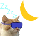 SleepCat