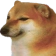shibrad Discord emoji