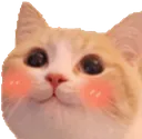 BlushKitty BlushKitty
