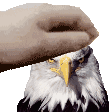 petpet Discord emoji