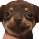 Petruha