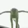 KermitJump KermitJump
