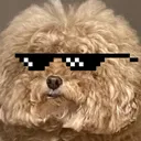 inuDealWithIt