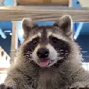 TPMlem