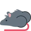 fat_ass_rat