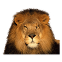 King Discord emoji