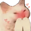 c_aww