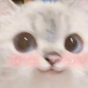 KU_CatBlush Discord emoji