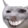cat_cringe