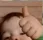 SXB_ok